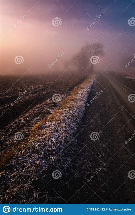 Foggy Evening And Walk By The Fields Near Ranheim Norway Cold And