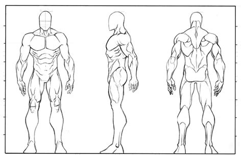 Man Anatomy Turnaround Character Design Drawing Superheroes Comic