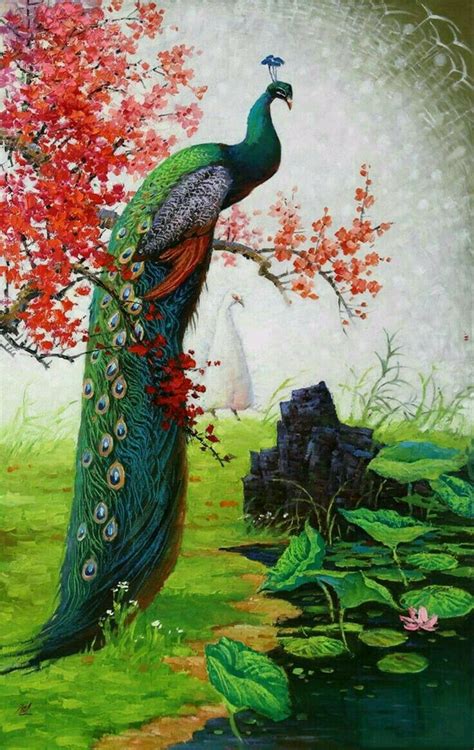 Burung merak hijau, khususnya pada jantan, khas dengan bulu ekornya yang jika direntangkan akan nampak seperti kipas raksasa. 96 Make Up Karakter Burung Merak | Gaestutorial