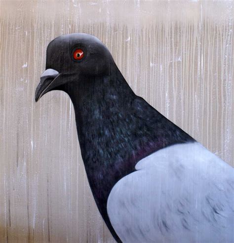 Pigeon Pigeon Bird Contemporary Animal Painter Thr