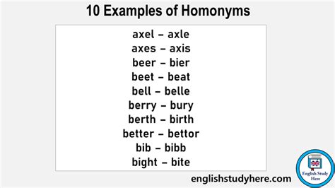 10 Examples Of Homonyms English Study Here
