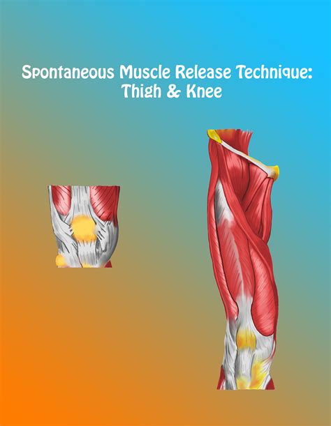 Holiday 2015 Special Spontaneous Muscle Release Techniquespontaneous Muscle Release Technique