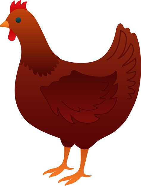 Drawing Of A Hen - ClipArt Best