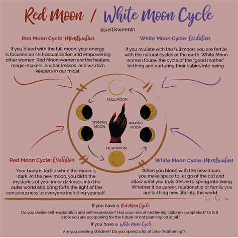 Menstrual Health Menstrual Cycle Womb Healing Energy Healing Red