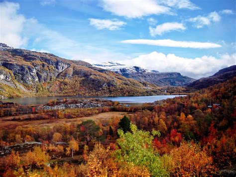 Beautiful Autumn In Norway