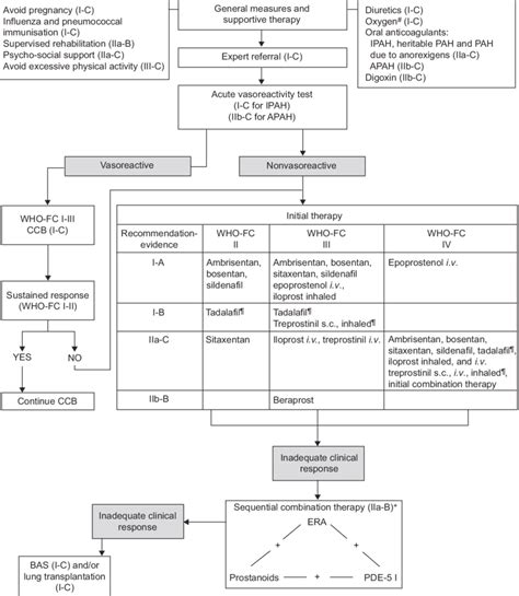 Evidence Based Treatment Algorithm For Pulmonary Arterial Hypertension