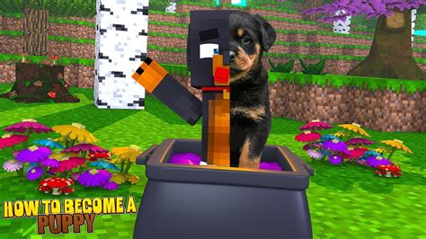 On the other hand, bringing metahumans to life while crossing the uncanny valley remains an to animate metahuman in ue, you will need to set a dummy character in iclone, link how to create a metahuman dummy with 3dxchange. Minecraft - HOW TO BECOME A REAL LIFE PUPPY - YouTube