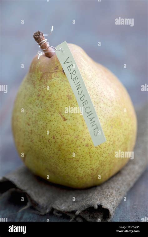 Doyenné Du Comice Pears Stock Photo Alamy