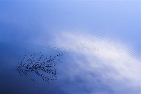 Cloud Sky Reflected On Water Surface Stock Photo Image Of Lake