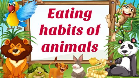 Eating Habits Of Animals What Do Animals Eat Lesson With