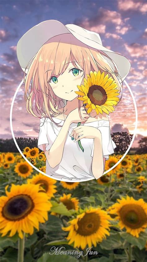 Anime Girl With Sunflower Wallpapers Download Mobcup