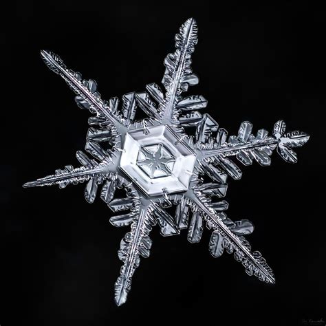The Center Of A Snowflake Is Almost Always The Most Beautiful Part
