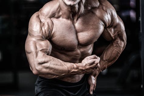 Choose Your Sources Of Gear Knowledge Wisely IronMag Bodybuilding Fitness Blog