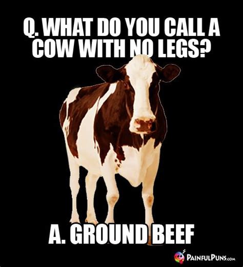 Q What Do You Call A Cow With No Legs A Ground Beef Funny Food Jokes