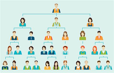 Organizational Chart Corporate Business Hierarchy Stock Illustration