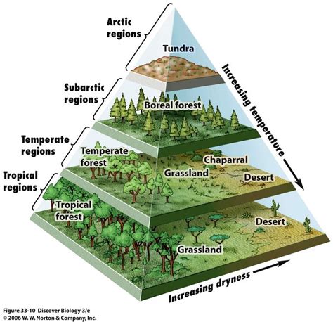 Biomes In Tempwetness Fantasy Map Making Biomes Fantasy Map