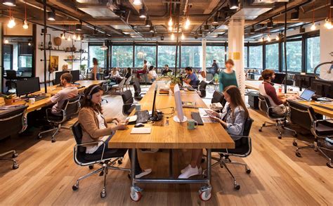 The Rise Of Shared Office Spaces For Modern Professionals Revenues