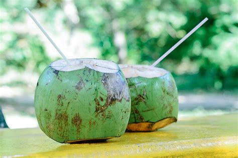Água De Coco Diminui A Ressaca Conheça 6 Benefícios Da Bebida Para A Saúde Saúde And Vitalidade