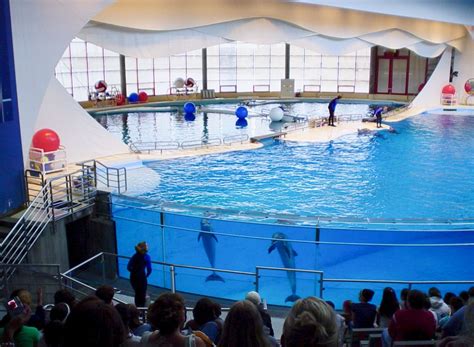 Dolphin Show At The National Aquarium Baltimore Maryland Travel