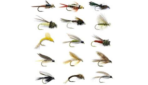 However, our focus here is primarily on river fishing. Fly Fishing Flies Identification Chart - All About Fishing