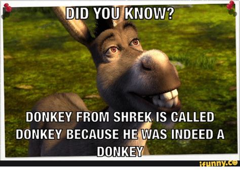 25 Best Memes About Donkey Funny Donkey Funny Memes