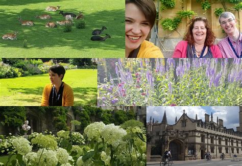 The Perfect Job? – Conversations for care