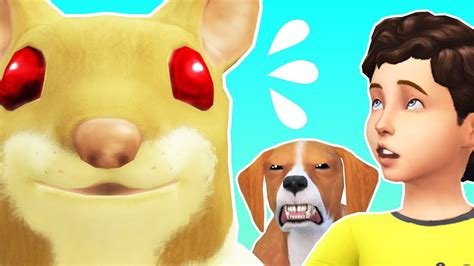 Dangereux Hamster 👿 Sims 4 Youtube
