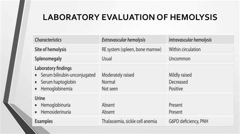 Lab Work Up For Hemolytic Anemia
