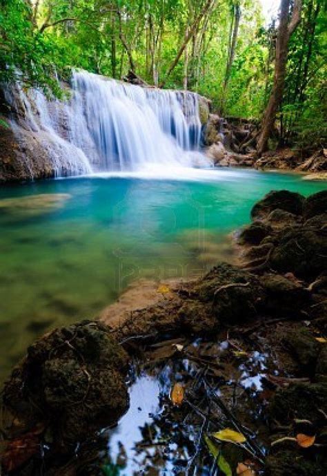 Rainforest Waterfalls Dream Vacation Spots Beautiful