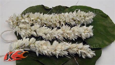 We did not find results for: DIY How to make Gajra (Traditional (Indian Garland) 1- JK ...