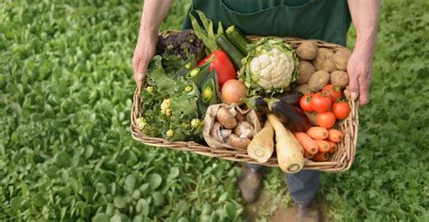 A Guide To Organic Farming Degrees And Careers