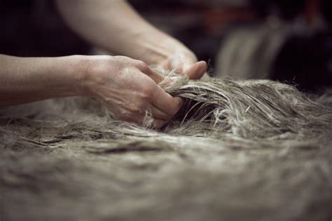 Different Stages Of Transformation Of Fibre Into Flax Yarn