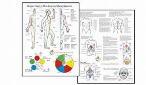 Anatomy And Healthcare Charts
