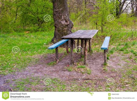 Picnic Site Wooden Table And Benches In Forest Park Stock Image Image