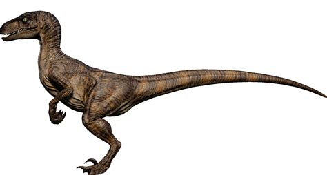 Velociraptor Nublarensis Jurassic Park Wiki Fandom