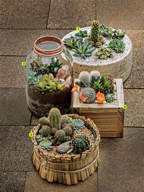 Pinterest shared its most popular home pins with tech insider, and the results are fascinating. Cool and Creative Terrarium Ideas That Will Beautify Your Home