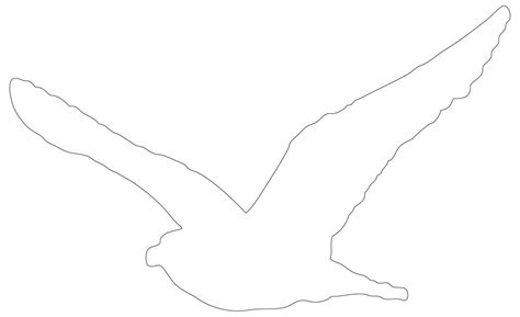 Bird Outline 24 Outlines Of Amazing Printable Birds Free