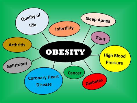 The Effects Of Obesity On The Body