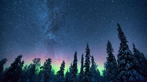 Download Wallpaper 1920x1080 Northern Lights Starry Sky Trees Full Hd
