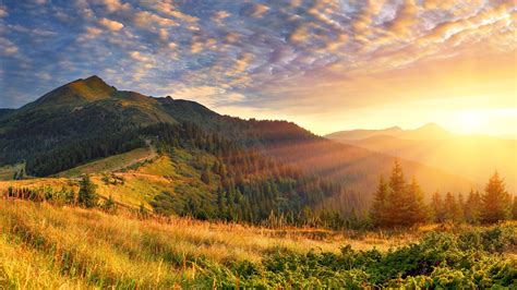 Green Trees With Green Covered Mountain Scenery Morning Sun Rays K Hd