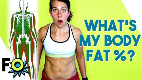 My Fat Loss Transformation Dexa Scan Results Youtube