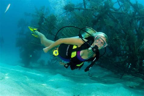 Nassau Discover Dive Course Jamaica Cruise Excursions