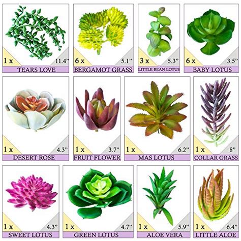 Housenior Artificial Succulent Plants Unpotted Bulk 24 Pack Of Small