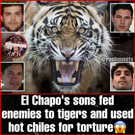 Raphousetv Rhtv On Twitter El Chapos Sons Fed Enemies To Tigers And Used Hot Chiles For