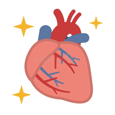 健康心脏的例证 向量例证. 插画 包括有 器官, 例证, 人力, 聚会所, 符号, 动脉, 查出, 图标 - 92992237