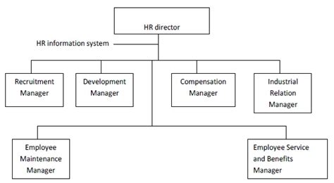 Function Oriented Structure For Hr Department Organization Of Hrm