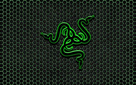 Razer Logo Wallpapers Top Free Razer Logo Backgrounds Wallpaperaccess