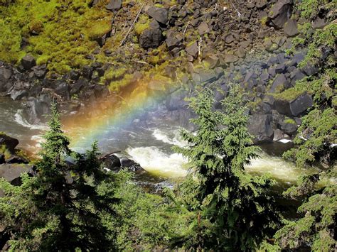 Free Images Landscape Tree Nature Forest Rock Waterfall