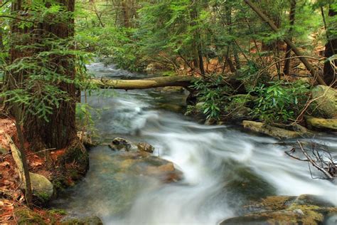 Imagen Gratis Agua Bosques Ecología Arroyo Río Cascada Madera