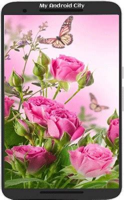 , gulab phool wallpaper walldevil 1024×768. गुलाब के फूल वॉलपेपर फोटो डाउनलोड 2020 Rose Wallpaper - My ...